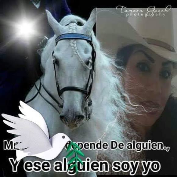 lauracampos593